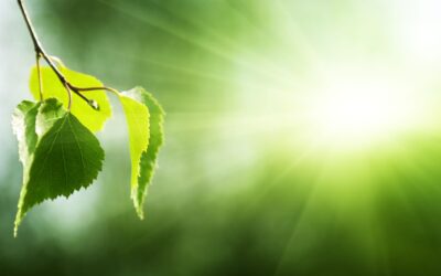 Six Steps to Better Business in 2021