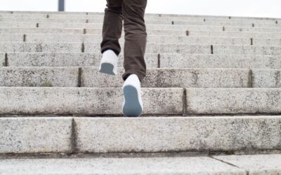 New Government Support Schemes