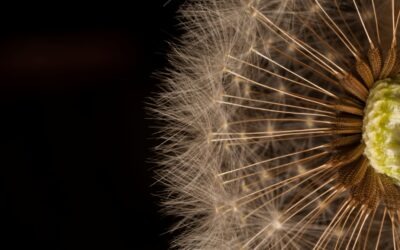 Cutting costs — without cutting staff